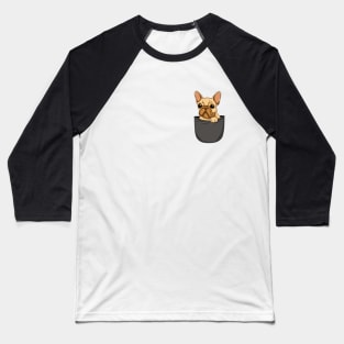 Pocket Dog Baseball T-Shirt